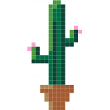 Cactus LN